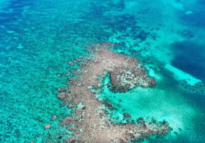 A Local’s Guide to Roatan’s Blue Channel: Snorkeling Tips, Best Times to Visit & What to Expect