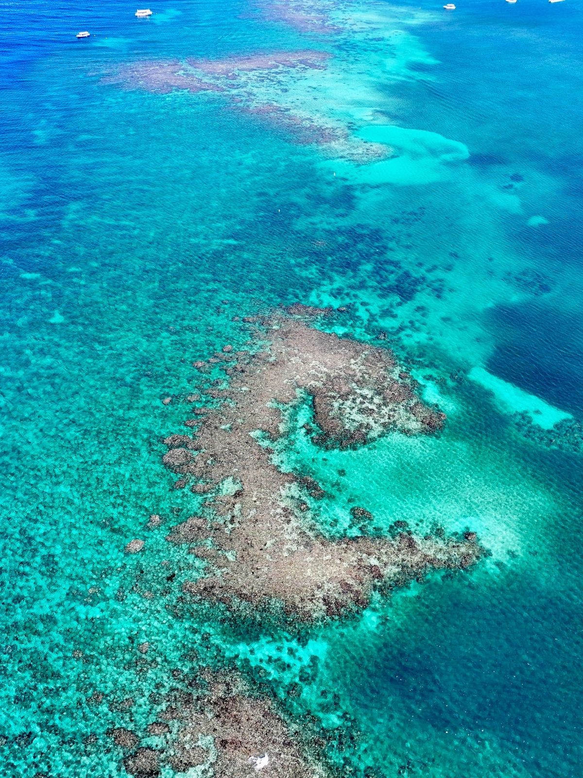 blue channel, Roatan, captain action tours, Luna Beach