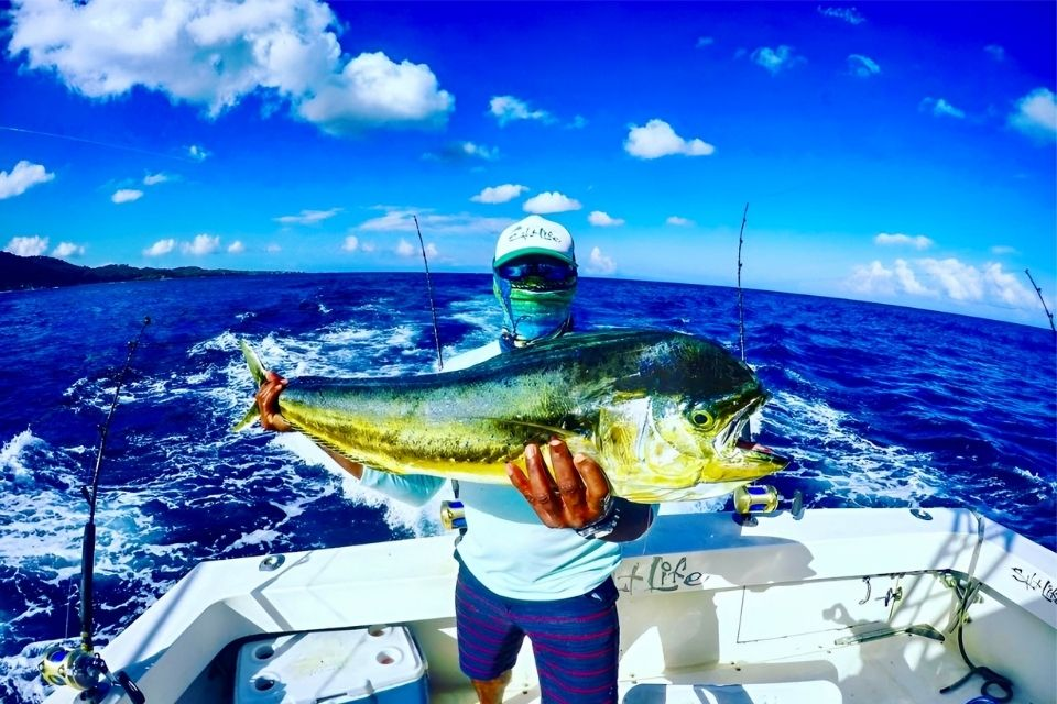 Roatan Fishing Excursions – Half-Day & Full-Day Guided Charters
