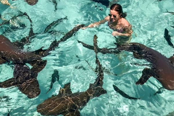 Pigeon Cay Tour Roatan – Snorkeling with Nurse Sharks & Starfish