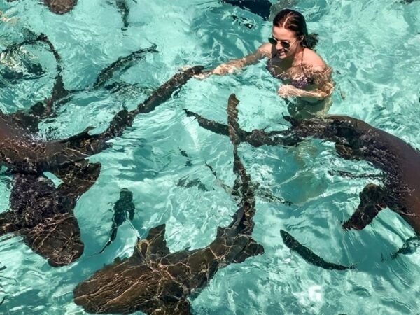 Pigeon Cay Tour Roatan – Snorkeling with Nurse Sharks & Starfish