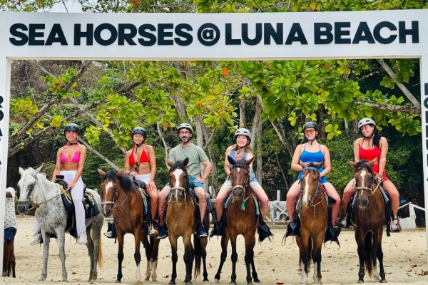 Horseback Riding on the Beach — Roatan Adventure