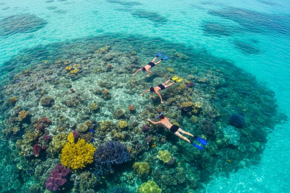 Water activities in Roatan including snorkeling, kayaking, fishing excursions, and catamaran tours.