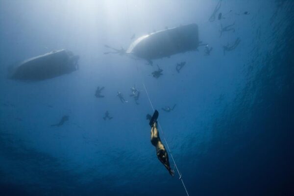 Freediving Experiences & Courses in Roatan with Roatan Freediving School