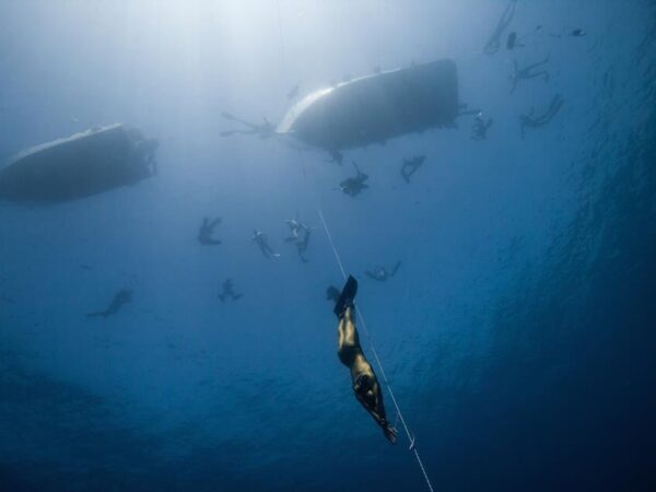 Freediving Experiences & Courses in Roatan with Roatan Freediving School