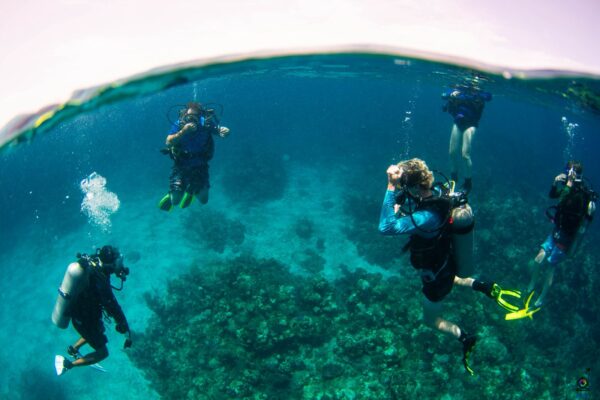 Scuba Diving Adventures in Roatan with Blue Moon Scuba