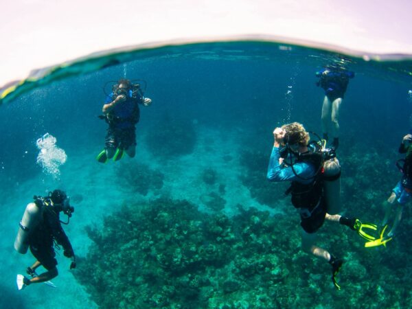 Scuba Diving Adventures in Roatan with Blue Moon Scuba