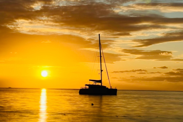 Catamaran Tours Roatan – Private Sunset Cruise | Captain Action Tours