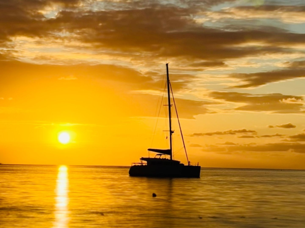 Catamaran Tours Roatan – Private Sunset Cruise | Captain Action Tours